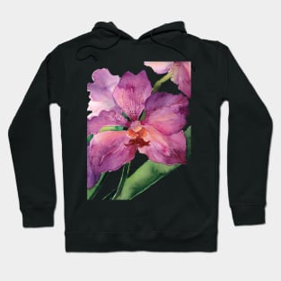 Purple Phalaenopsis Orchid Hoodie